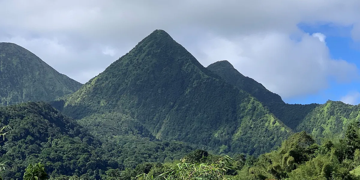Forêt tropicale humide couvrant les reliefs des Pitons du Carbet dans le nord de la Martinique